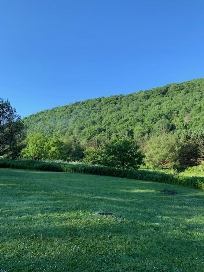 The Maples Apt - King Bed, Pet Friendly, Beautiful Views Ellicottville Exterior photo